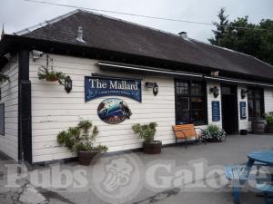 Picture of The Mallard