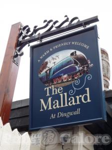 Picture of The Mallard
