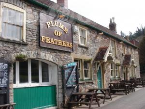 Picture of Plume of Feathers