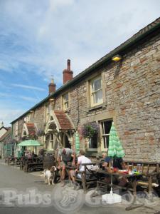 Picture of Plume of Feathers