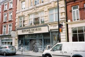 Picture of The Stone Horse
