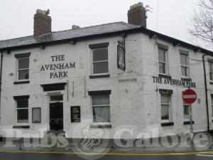 Picture of Avenham Park