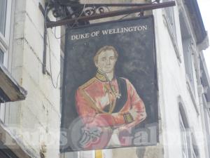 Picture of Duke of Wellington