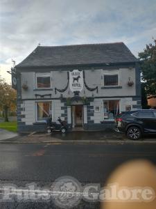 Picture of Black Horse