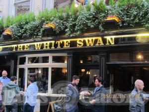 Picture of The White Swan