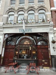 Picture of The Hope