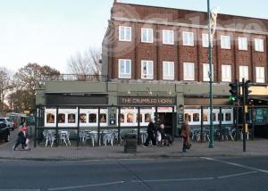 Picture of The Crumpled Horn