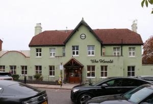 Picture of The Harold