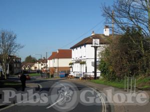 Picture of White Horse