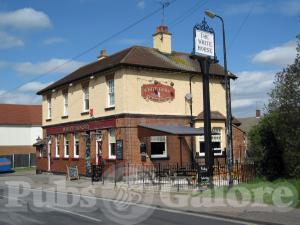 Picture of White Horse