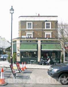 Picture of The Duke of York