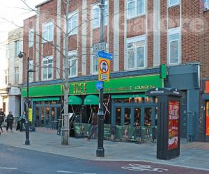 Picture of The Ivy Tree