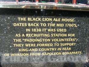 Picture of Black Lion