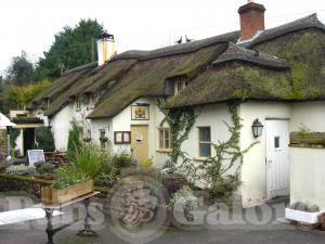 Picture of The Farmers Arms