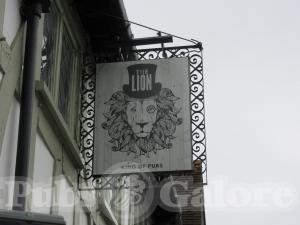 Picture of The Lion