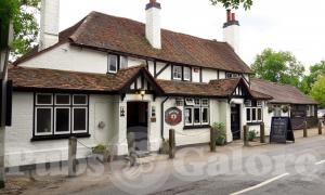 Picture of The Green Man