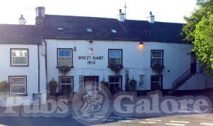 Picture of White Hart Inn