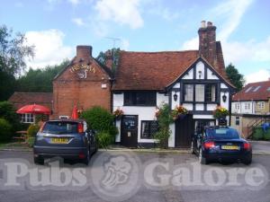 Picture of The Swan
