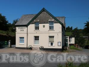 Picture of Forest Inn