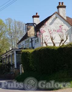 Picture of Four Horseshoes