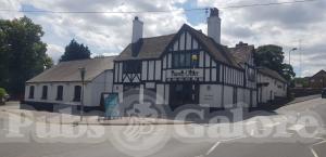 Picture of The Tame Otter