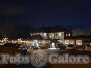 Picture of The Riftswood