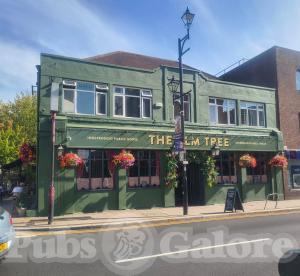 Picture of The Elm Tree