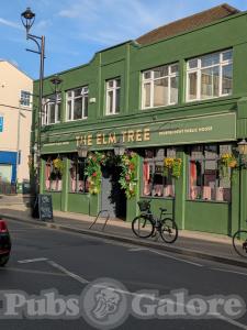 Picture of The Elm Tree