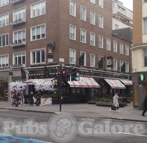 Picture of The Fitzrovia Belle