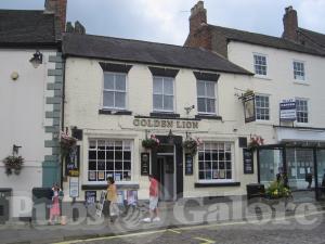 Picture of Golden Lion