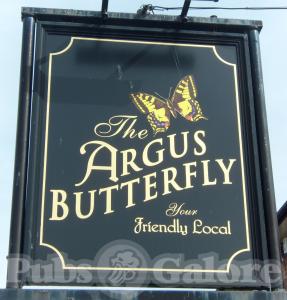 Picture of The Argus Butterfly