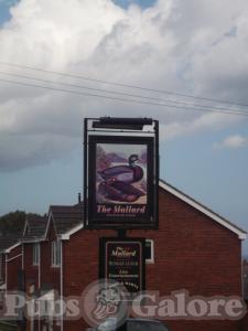 Picture of The Mallard