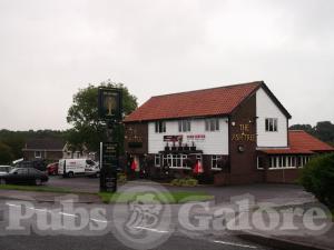 Picture of The Ash Tree