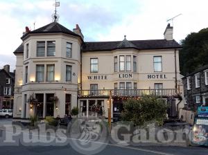 Picture of White Lion