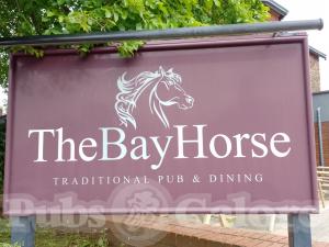 Picture of Bay Horse
