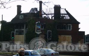 Picture of Wagon & Horses