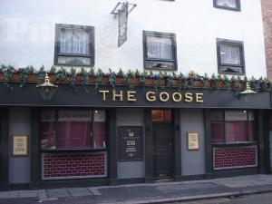 Picture of The Goose