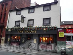Picture of The Goose