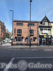 Picture of The Old Monkey