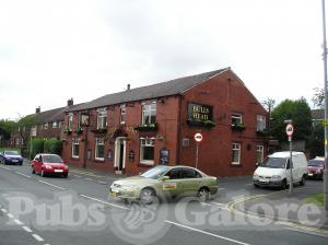 Picture of Bulls Head
