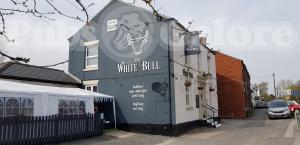 Picture of The White Bull