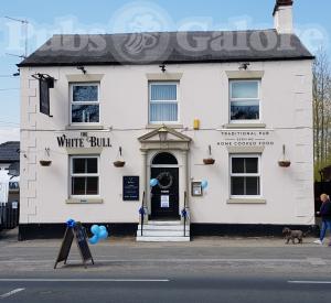Picture of The White Bull