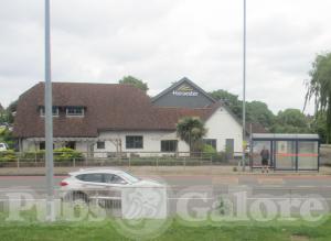 Picture of Harvester Arden Oak
