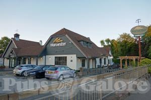 Picture of Harvester Arden Oak
