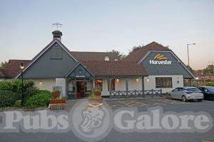 Picture of Harvester Arden Oak