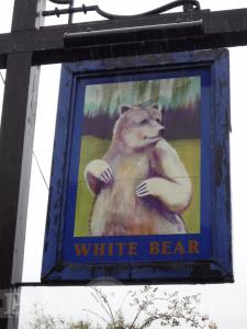 Picture of White Bear