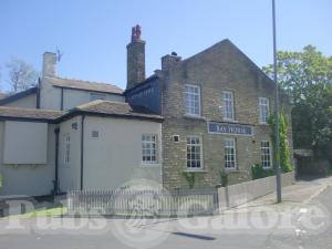 Picture of Bay Horse