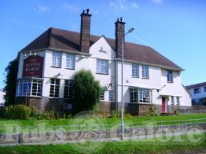 Picture of The Flying Horse