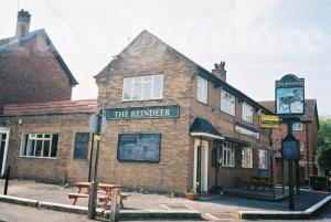 Picture of The Reindeer