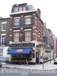 Picture of The White Horse & Bower